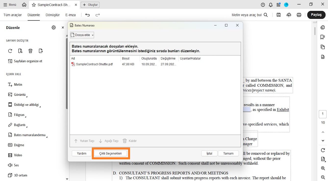 Bates Numaralandırması iletişim kutusu, Bates numaralandırması için belgeleri dahil etmek üzere Dosya ekle menüsünü gösterir.Listelenen dosya; Ad, Boyut, Oluşturulma ve Değiştirilme tarihleri ile Uyarılar/Hatalar ayrıntılarını gösterir.Çıktı Seçenekleri seçeneği vurgulanmıştır.