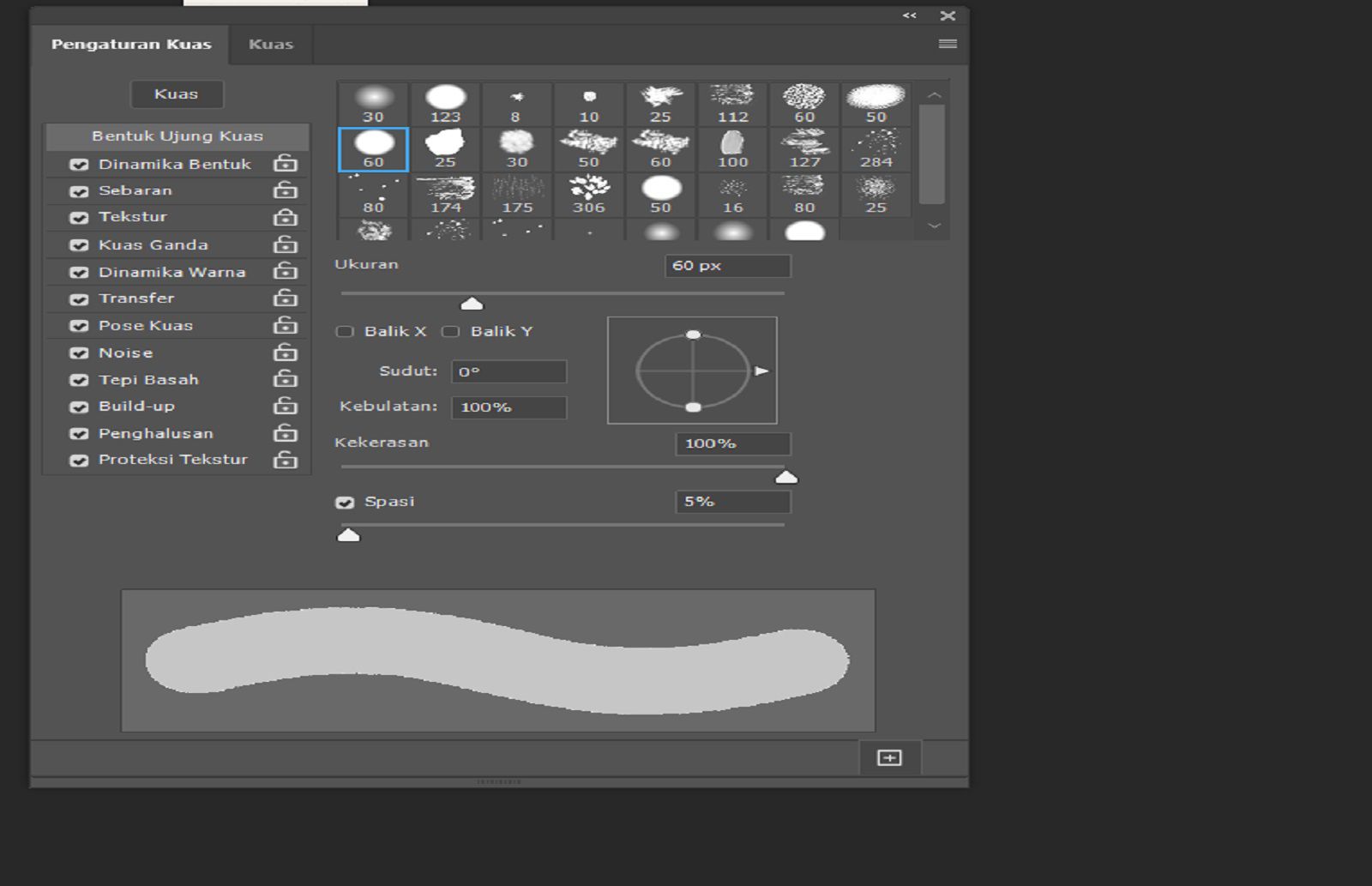 Panel Pengaturan Kuas menampilkan kontrol kuas dan pratinjau goresan langsung di bagian bawah.