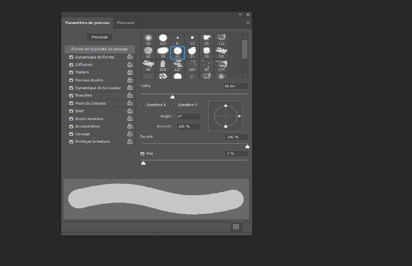 Panneau Paramètres de pinceau montrant les contrôles du pinceau et un aperçu du trait en direct en bas.