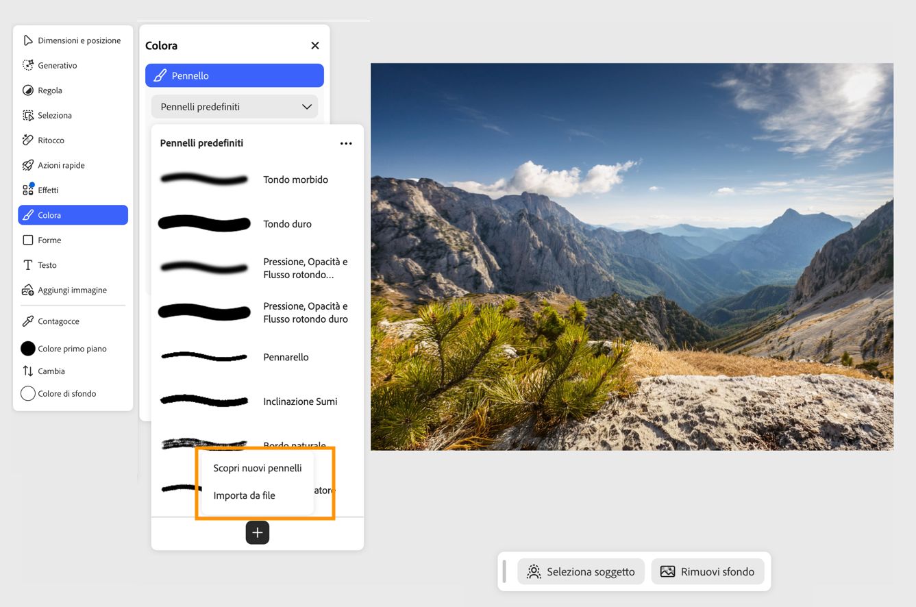 Il pannello Preimpostazioni pennello mostra le options Scopri nuovi pennelli e Importazione da file per installare pennelli personalizzati.