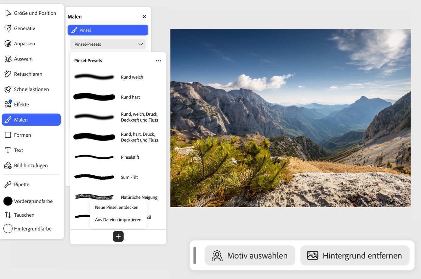 Das Bedienfeld „Pinselvorlagen“ zeigt die Optionen „Neue Pinsel entdecken" und „Aus Dateien importieren“ an, um benutzerdefinierte Pinsel zu installieren.