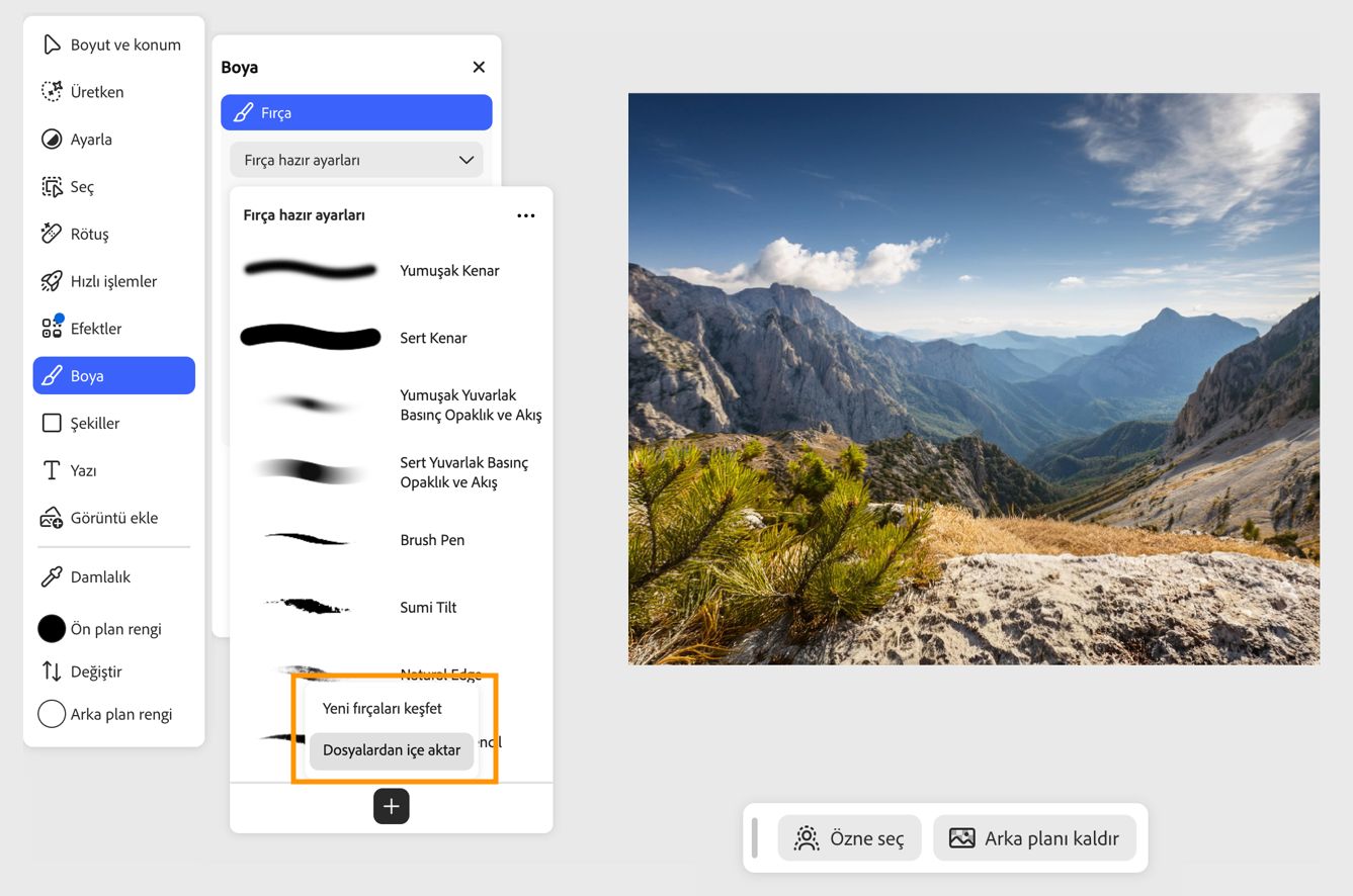 Hazır fırça ayarları paneli, özel fırçalar yüklemek için Yeni fırçalar keşfedin ve Dosyalardan içe aktar seçeneklerini görüntüler.