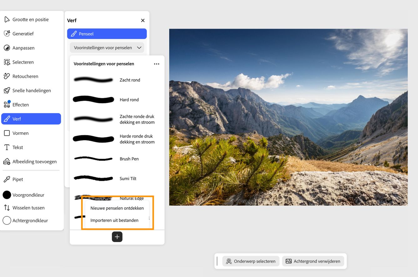 Het deelvenster Penselvoorinstellingen toont de options Nieuwe penselen ontdekken en Import vanuit bestanden om aangepaste penselen te installeren.