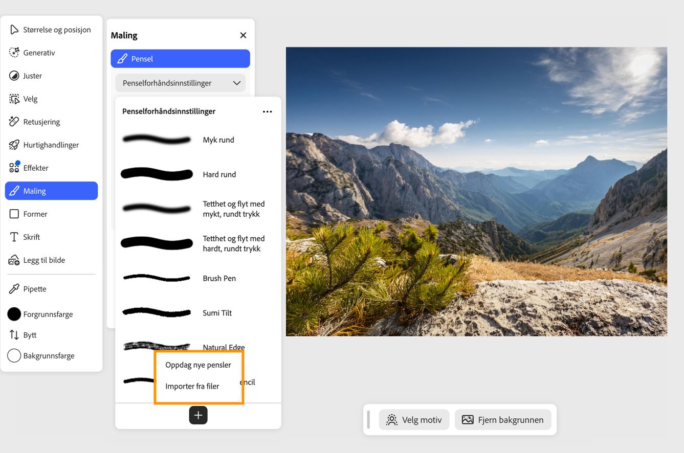 Panelet Penselforhåndsinnstillinger viser options for Oppdag nye pensler og Import fra filer for å installere egendefinerte pensler.