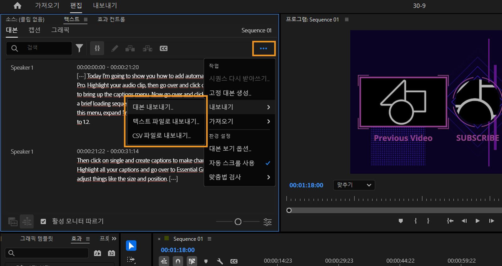 캡션 탭이 열리고 내보내기 메뉴에서 대본을 내보내기 위한 다양한 파일 형식을 사용할 수 있습니다.