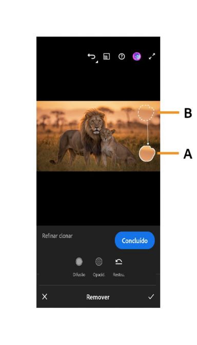 A ferramenta Clonar mostrando a área de destino marcada na imagem com seleção sólida e a área de origem marcada com seleção tracejada.