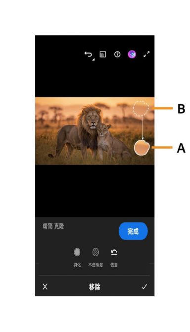 仿制工具在图像中以实线选区标记目标区域，以虚线选区标记源区域。