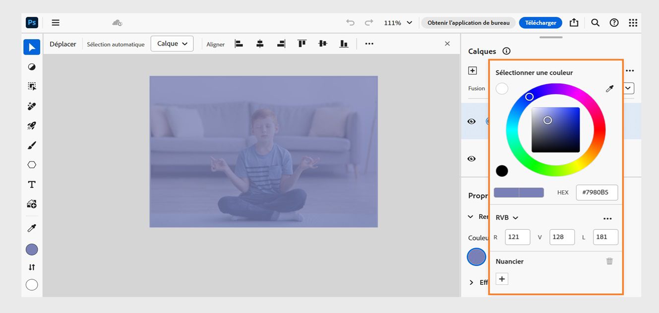 Le panneau Sélecteur de couleurs est ouvert dans le panneau Calques. Il peut être utilisé pour sélectionner la couleur souhaitée à ajouter au calque de remplissage.