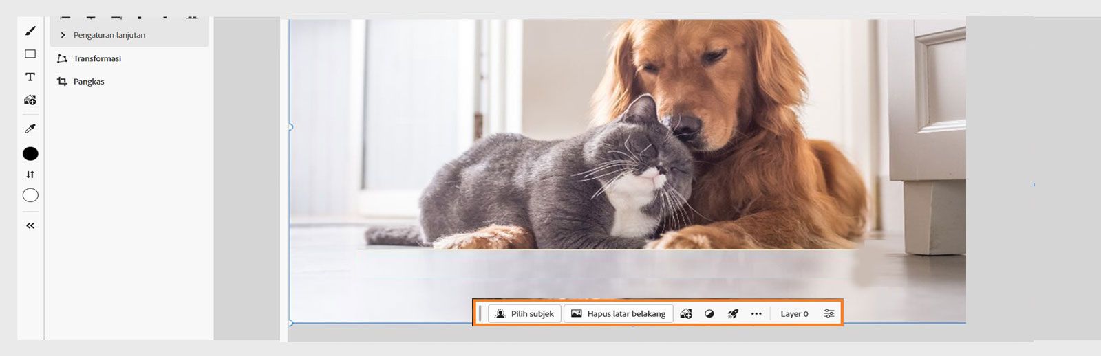 Bar tugas kontekstual di Photoshop di web menawarkan berbagai opsi untuk memilih subjek, menghapus latar belakang, menambahkan gambar, dan menerapkan tindakan cepat.