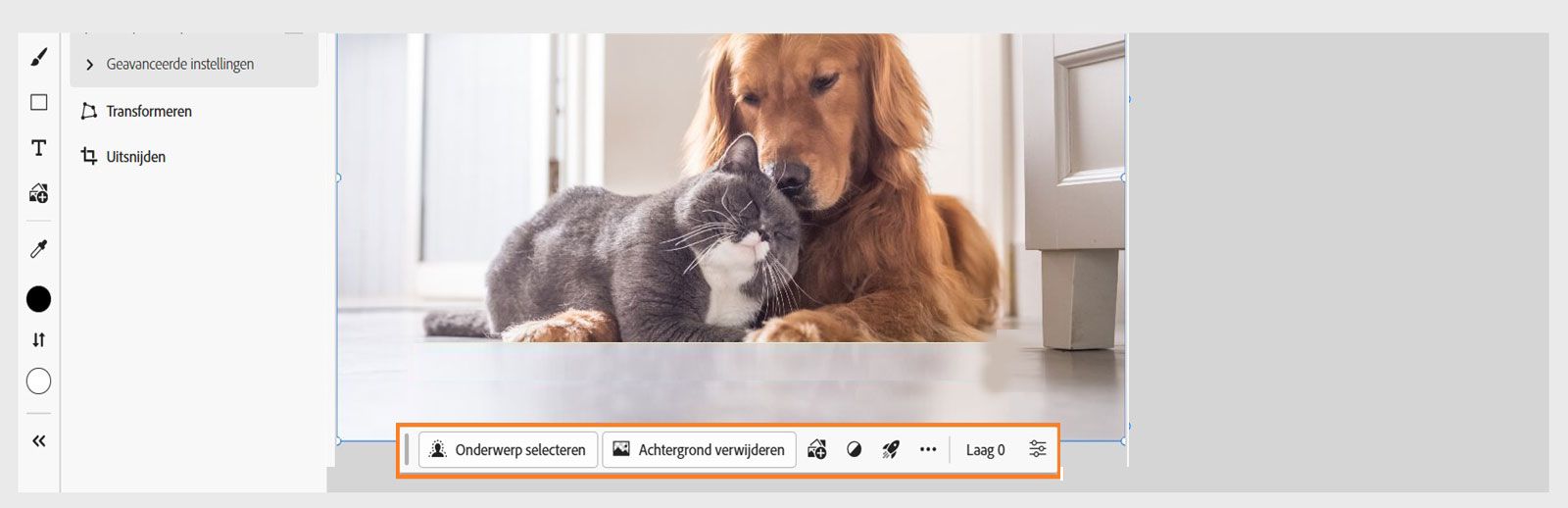 De contextuele taakbalk in Photoshop op internet biedt verschillende opties om een onderwerp te selecteren, de achtergrond te verwijderen, een afbeelding toe te voegen of snelle handelingen toe te passen.