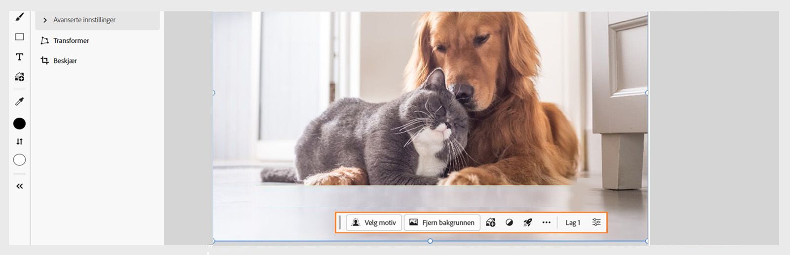 Den kontekstuelle oppgavelinjen i Photoshop på nett har ulike alternativer for Velg emne, Fjern bakgrunn, Legg til bilde og Bruk hurtighandlinger.