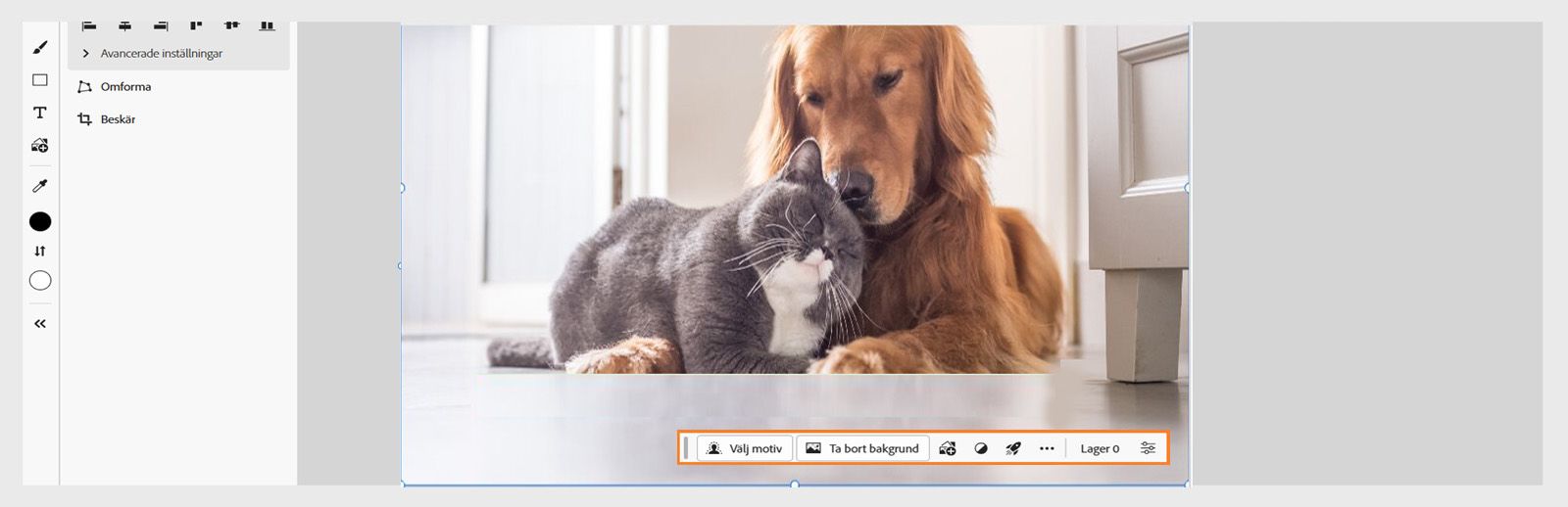 I det kontextuella aktivitetsfältet i Photoshop på webben finns olika alternativ för Välj motiv, Ta bort bakgrund, Lägg till bild och Använd snabbåtgärder.
