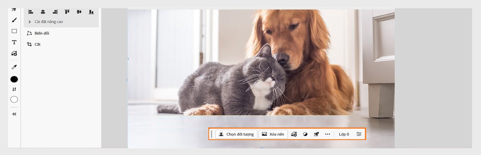 Thanh tác vụ theo ngữ cảnh trong Photoshop trên web cung cấp nhiều tùy chọn khác nhau để Chọn chủ thể, Xóa nền, Thêm hình ảnh và Áp dụng Thao tác nhanh.