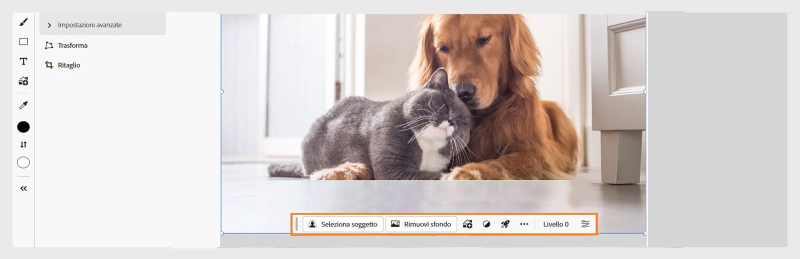 La barra delle attività contestuale di Photoshop per il Web offre varie opzioni Seleziona oggetto, Rimuovi sfondo, Aggiungi immagine e Applica azioni rapide.