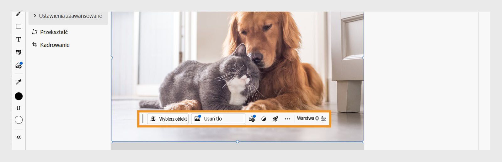 Kontekstowy pasek zadań w programie Photoshop w Internecie udostępnia opcje takie jak Zaznacz temat, Usuń tło, Dodaj obraz i Zastosuj szybkie operacje.