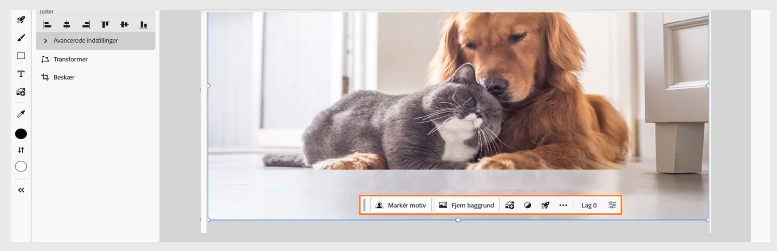 Den kontekstafhængige proceslinje i Photoshop på internettet indeholder forskellige indstillinger til Markér motiv, Fjern baggrund, Tilføj billede og Anvend hurtige handlinger.