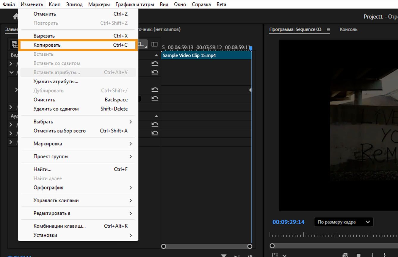 В последовательности выбран переход, а в строке меню в меню «Правка» выделена опция «Копировать»