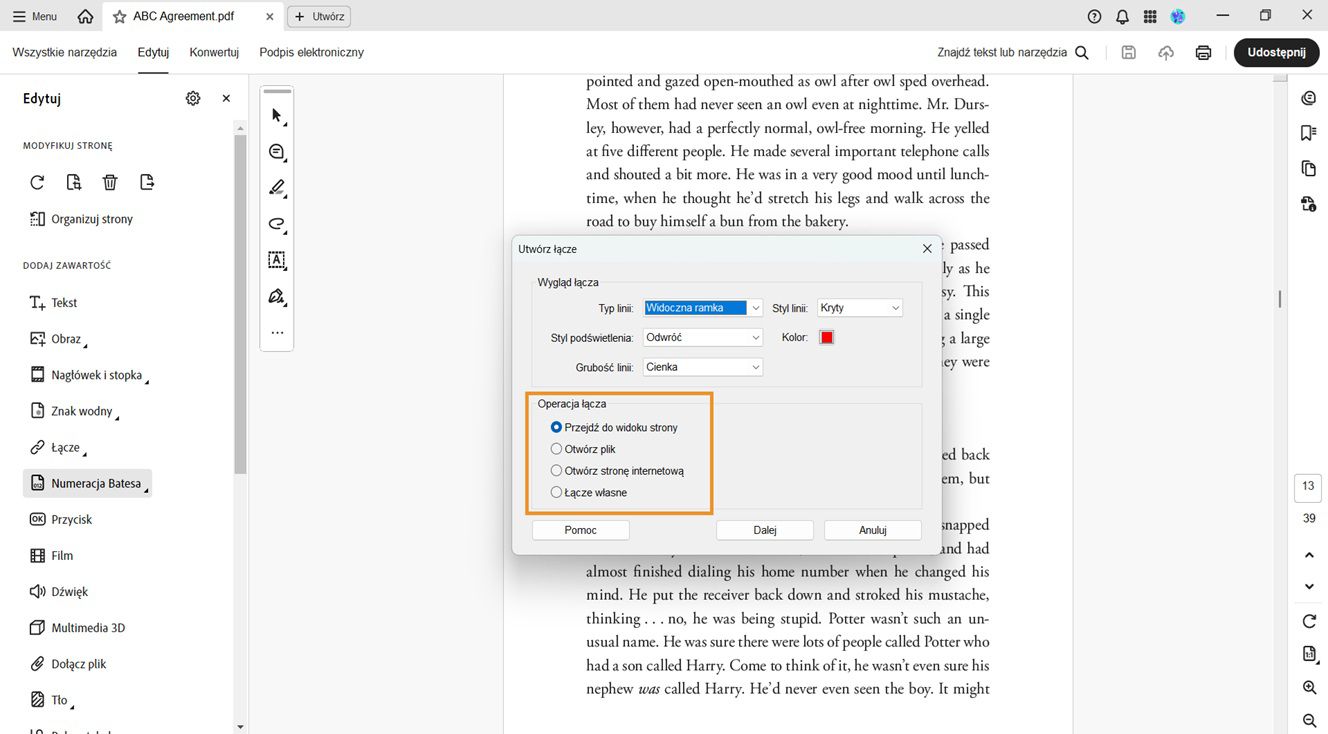 Okno dialogowe Utwórz łącze zawiera opcje wyglądu i akcji przypisanej do łącza. Opcje akcji łącza są podświetlone, aby dodać żądane łącza do plików PDF.