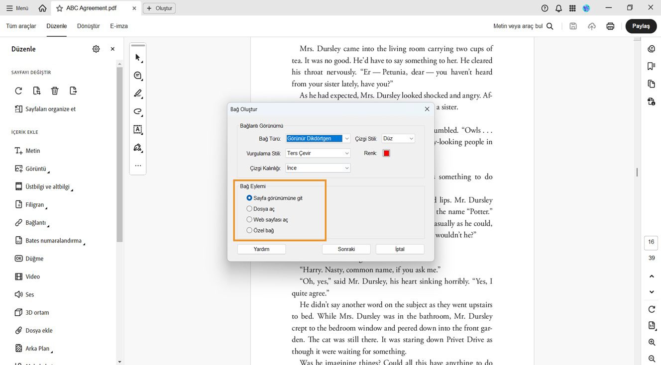 Bağlantı Oluştur iletişim kutusu, Bağlantı Görünümü ve Bağlantı Eylemi seçeneklerini gösterir.PDF'lere istenen bağlantıları eklemek için Bağlantı Eylemi seçenekleri vurgulanır.