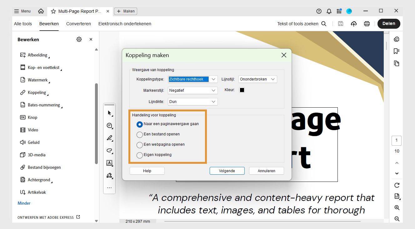 Het dialoogvenster Koppeling maken toont opties voor Koppelingsweergave en Koppelingsactie. De opties voor koppelingen zijn gemarkeerd om de gewenste koppelingen aan PDF's toe te voegen.