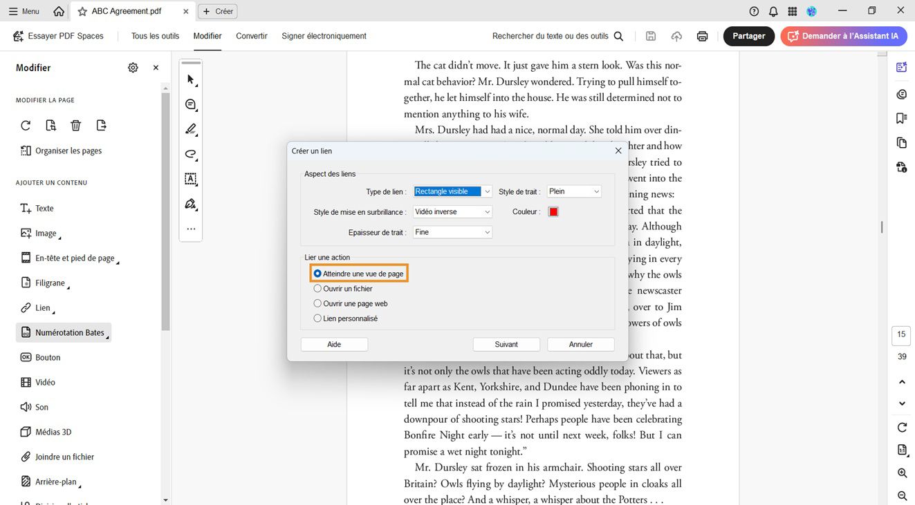 La boîte de dialogue Créer un lien affiche les options Aspect du lien et Action du lien. L’option Atteindre une vue de page est mise en évidence sous Action du lien, afin de définir l’aspect d’un lien.