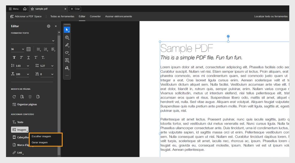 O painel Editar exibe a caixa de diálogo Imagem, que tem duas opções para adicionar imagens: Escolher imagem e Gerar imagem.