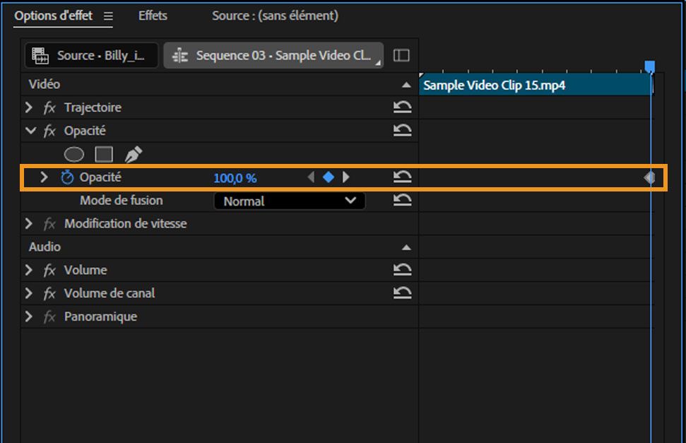 Le panneau Options d’effet a la propriété Opacité sélectionnée et le contrôle défini sur 100 % pour un exemple de clip vidéo.