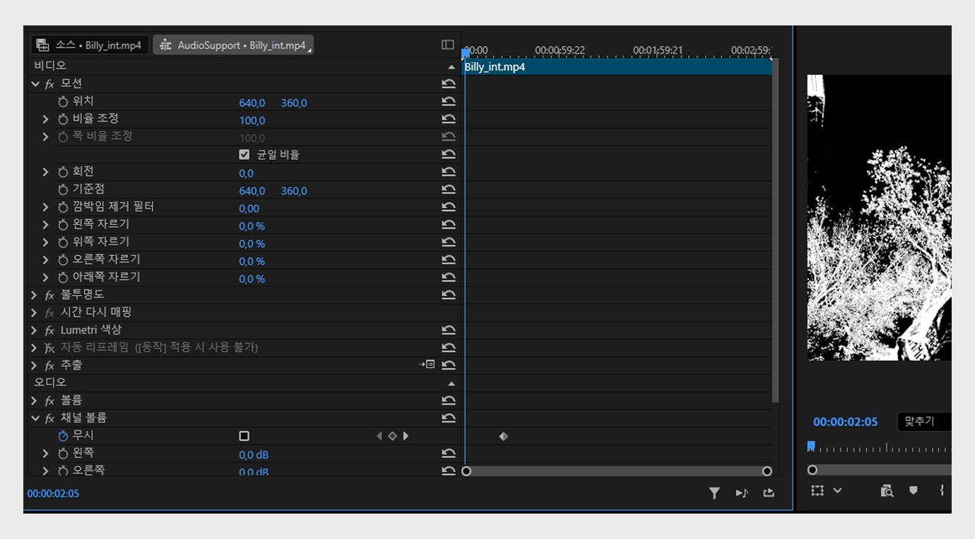 효과 컨트롤 패널이 열리고, 클립에 적용된 비디오 및 오디오 효과와 조정 가능한 속성들이 표시됩니다.