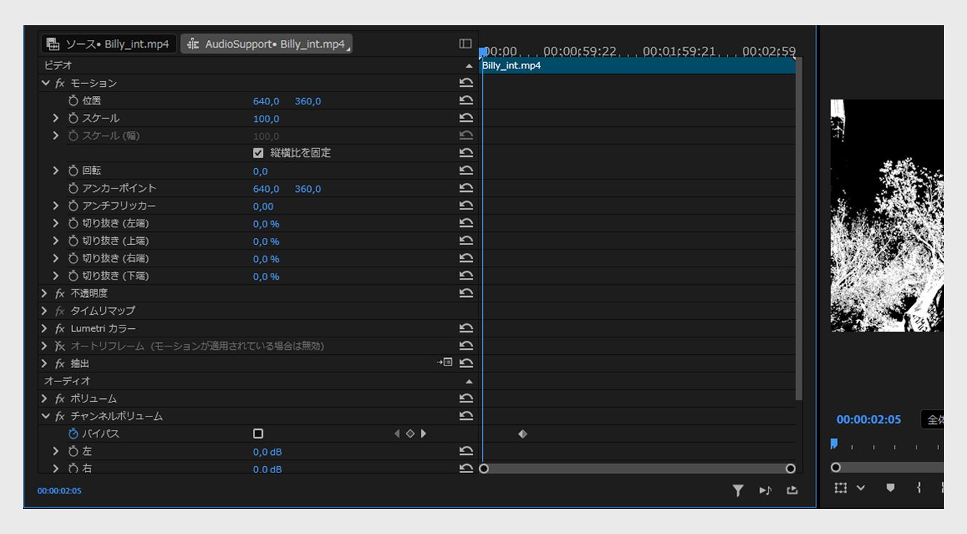 エフェクトコントロールパネルが開き、クリップに適用されたビデオおよびオーディオエフェクトと、調整可能なプロパティが表示されます。