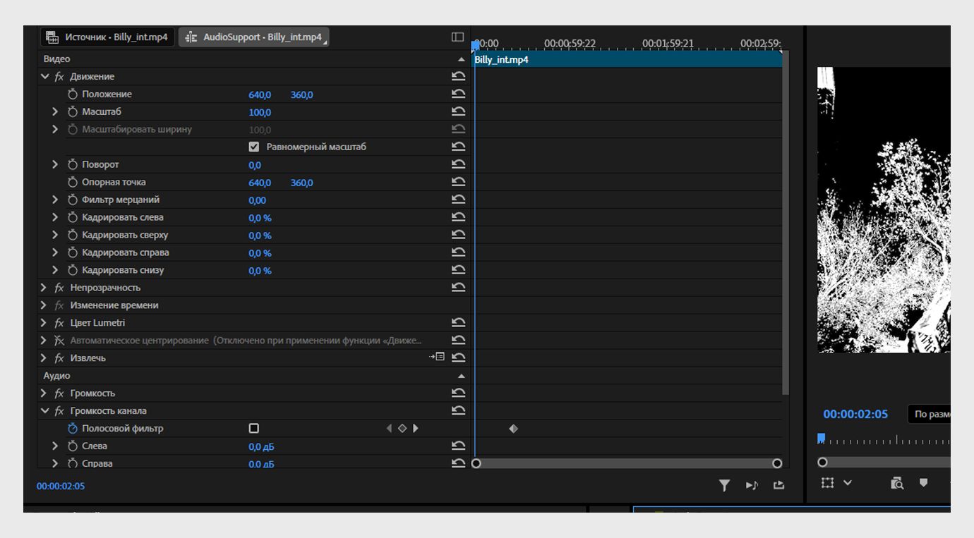 Открыта панель «Управление эффектами», отображающая видео и аудио эффекты, примененные к клипу, вместе с их настраиваемыми свойствами.