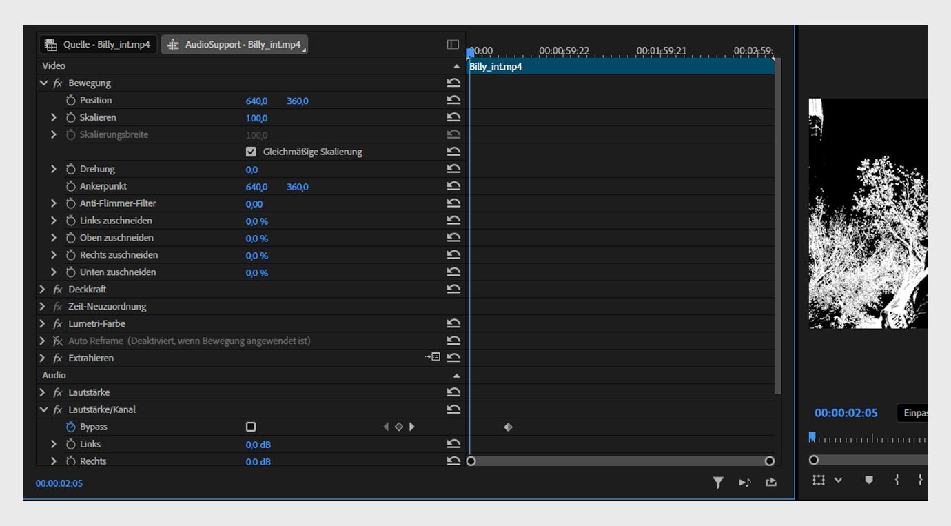 Das Bedienfeld „Effekteinstellungen&quot; ist geöffnet und zeigt die auf den Clip angewendeten Video- und Audioeffekte sowie deren einstellbare Eigenschaften an.