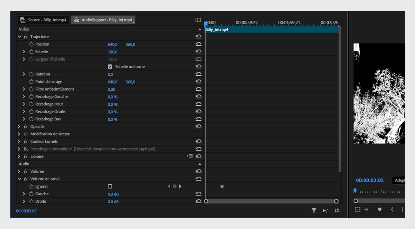 Le panneau Options d’effet est ouvert, affichant les effets vidéo et audio appliqués au clip, ainsi que leurs propriétés réglables.