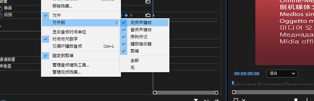 “效果控件”设置已打开，并在“对齐到”选项下选择了“视频关键帧”。