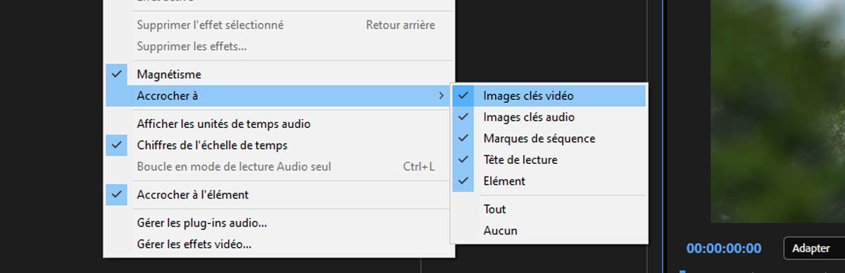 Les paramètres Options d’effet sont ouverts et Images clés vidéo est sélectionné dans les options Accrocher à.
