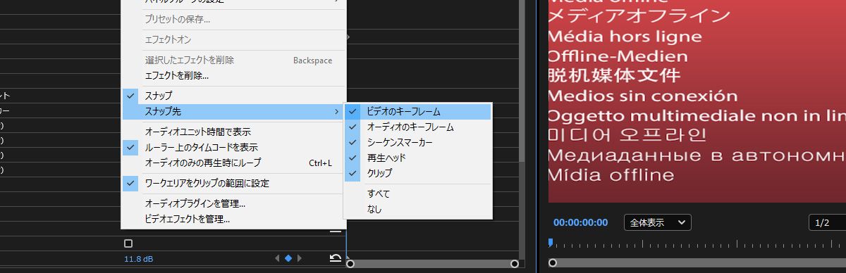 エフェクトコントロール設定が開き、「スナップ先」オプションでビデオキーフレームが選択されています。