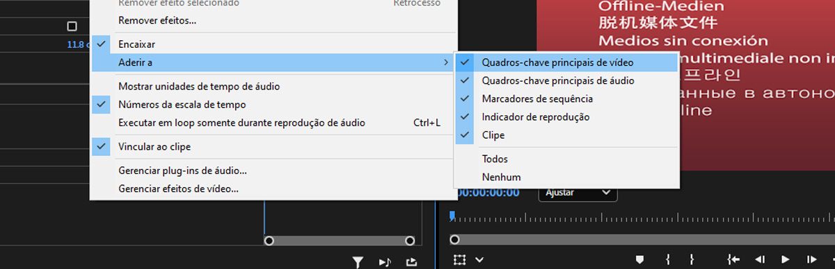 As configurações de controles do efeito estão abertas, e quadros-chave de vídeo estão selecionados nas opções de “Ajustar a”.