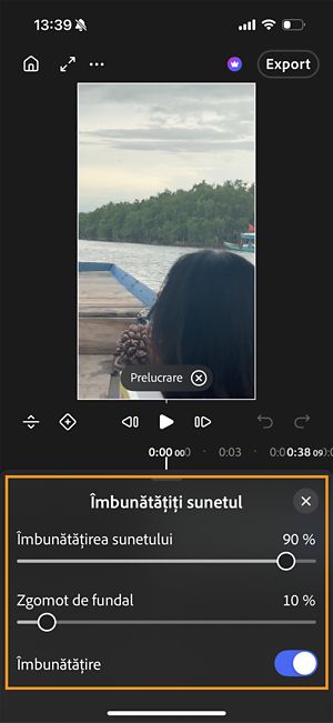 Panoul Îmbunătățire audio cu glisoare pentru Îmbunătățirea audio și Zgomotul de fundal și comutatorul Îmbunătățire activat.