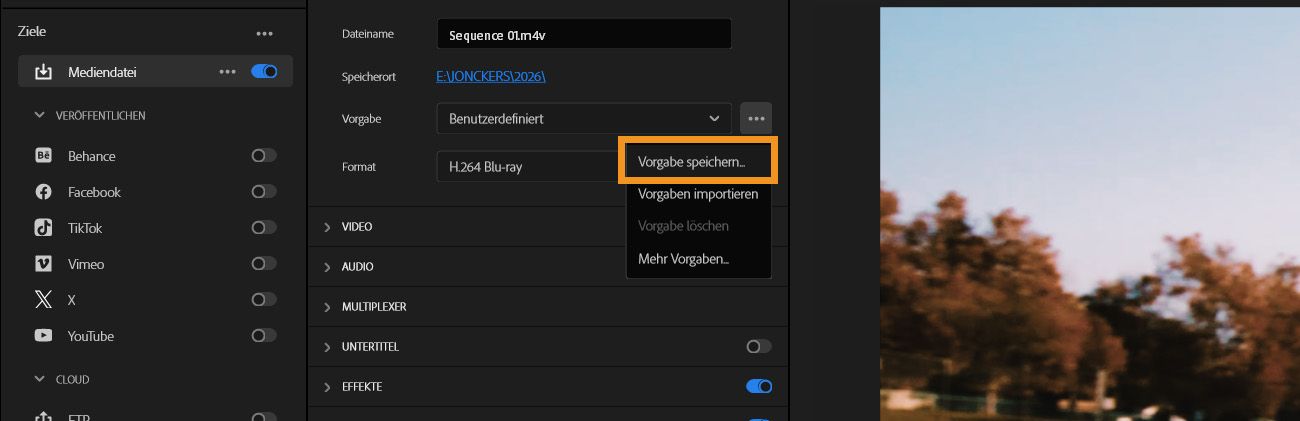 Der Export-Tab ist geöffnet und die Option zum Speichern der Voreinstellung ist hervorgehoben.