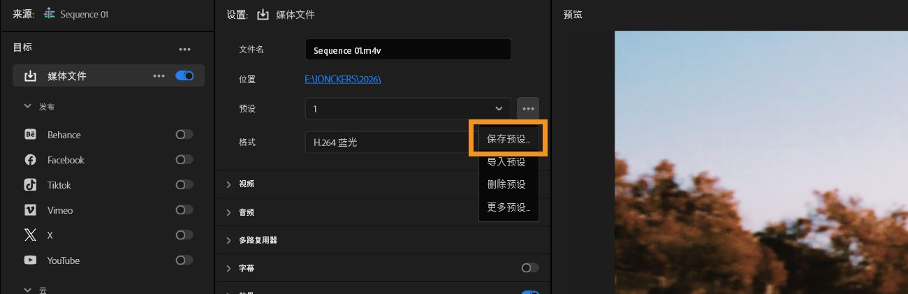 “导出”选项卡已打开，并且“保存预设”选项已高亮显示。