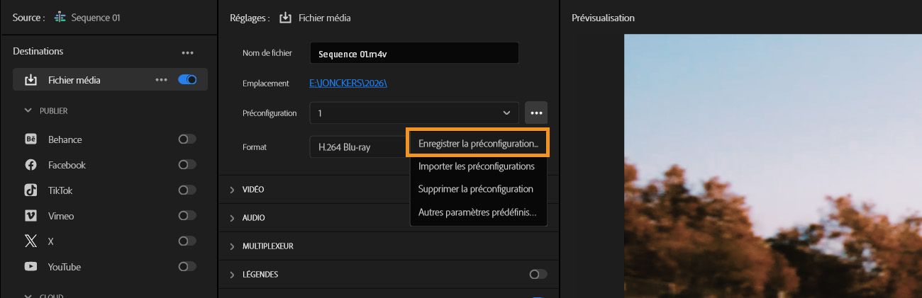 L'onglet Export est ouvert et l'option d'enregistrement du paramètre prédéfini est mise en surbrillance.