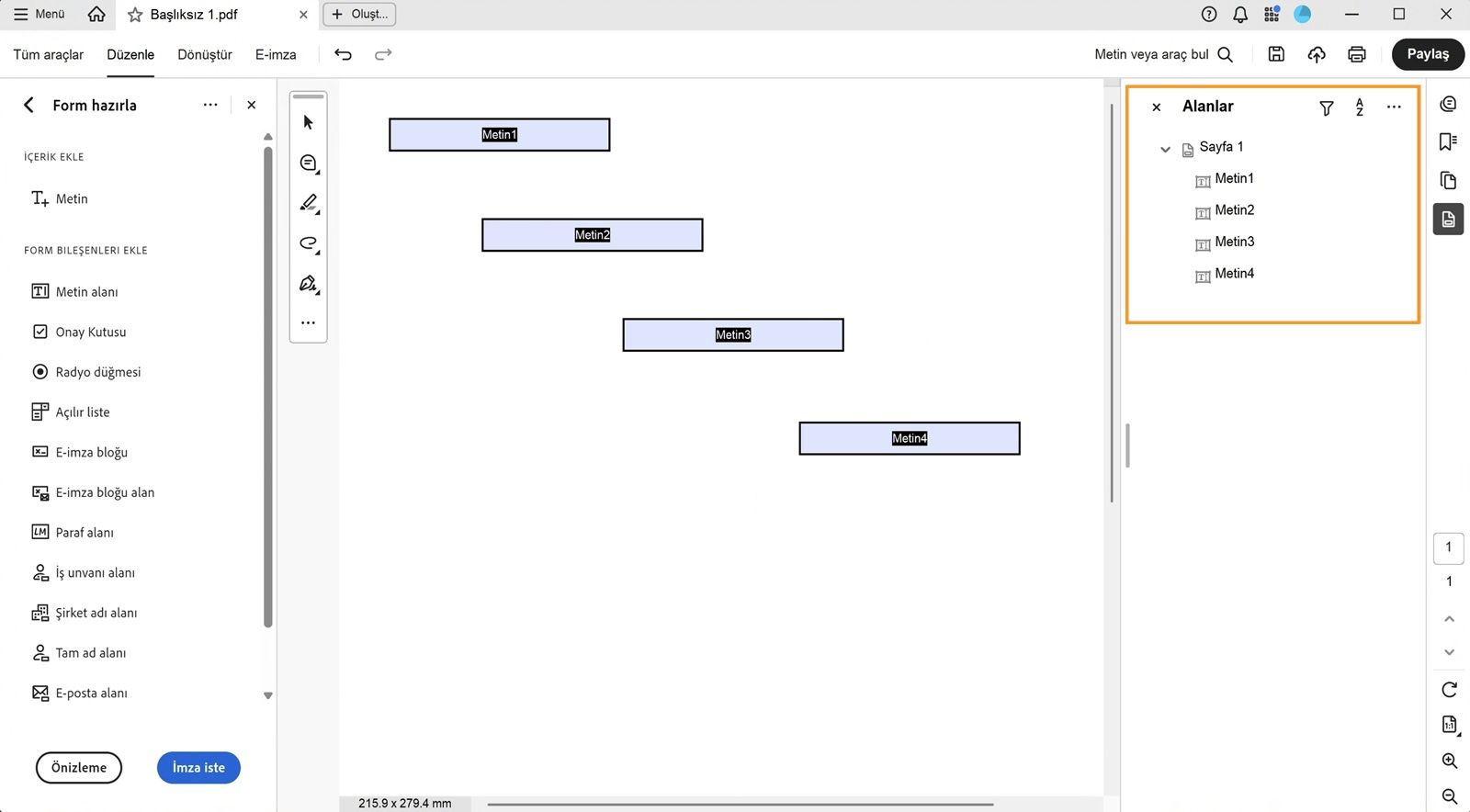 Alanlar bölmesi, düzenlenebilen veya silinebilen mevcut form alanlarını görüntüler.