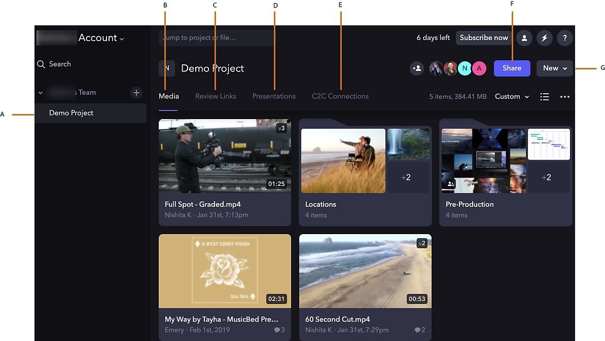 Frame.io インターフェースには、選択されたプロジェクトのメディアファイル、ファイルの詳細、共有オプション、共同作業者アイコン、およびメディア、レビューリンク、プレゼンテーション、カメラ接続用のナビゲーションタブが表示されます。