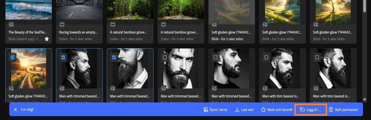 Genereringshistorikk-fanen i Firefly viser flere valgte ressurser og en verktøylinjemeny.