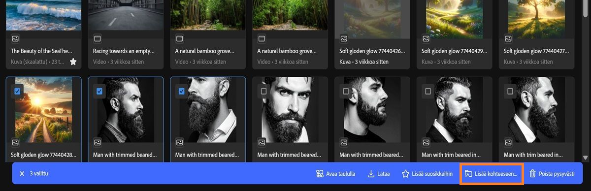 Fireflyn Generointihistoria-välilehti näyttää useita valittuja resursseja ja työkalurivin valikon.