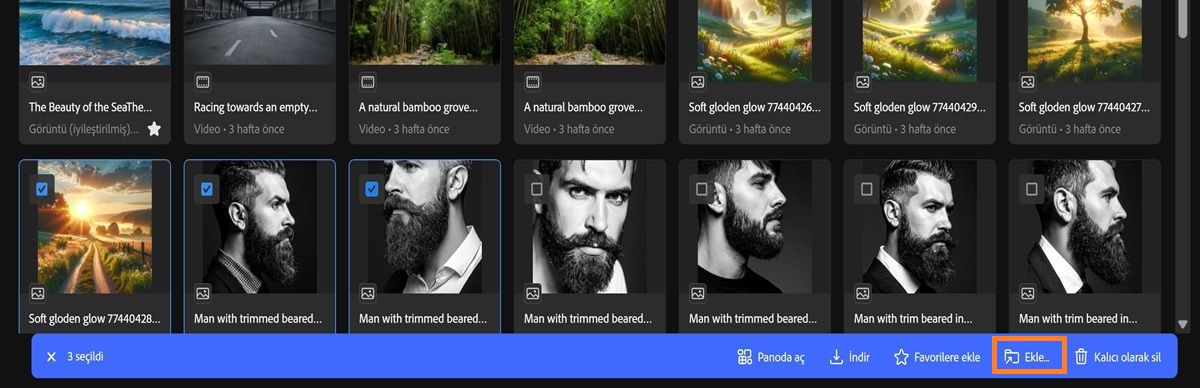 Firefly'daki Oluşturma geçmişi sekmesi, birden fazla seçili varlığı ve bir araç çubuğu menüsünü gösterir.