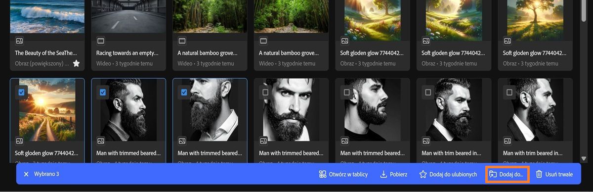 Karta Historia generacji w programie Firefly wyświetla wiele wybranych zasobów oraz menu paska narzędzi.