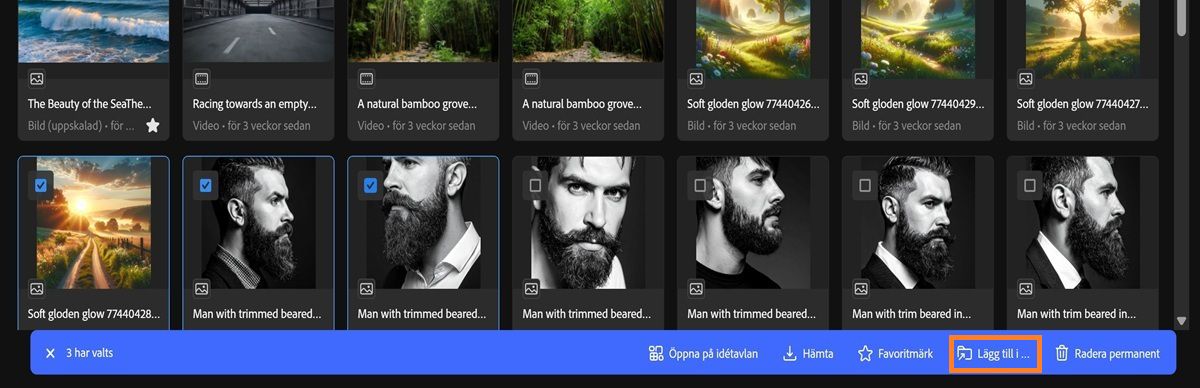 Fliken Genereringshistorik i Firefly visar flera valda resurser och en verktygsfältsmeny.