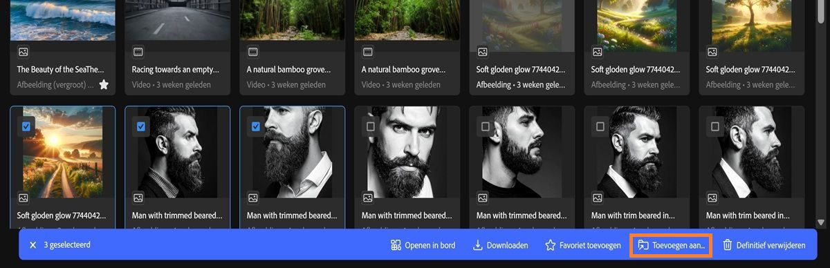 Het tabblad Generatiehistorie in Firefly toont meerdere geselecteerde assets en een werkbalkmenu.