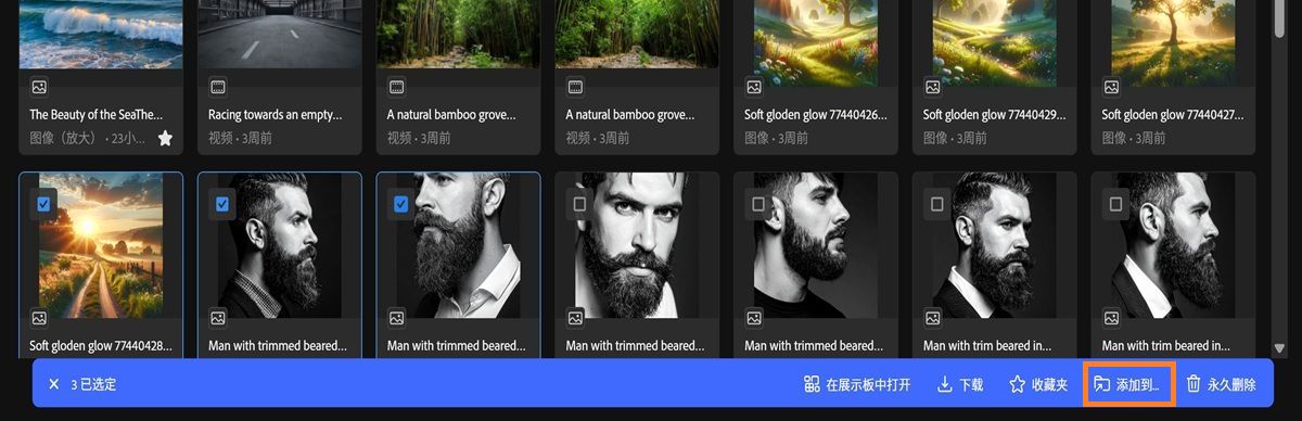 Firefly 中的“生成历史记录”选项卡显示多个选定资源和工具栏菜单。