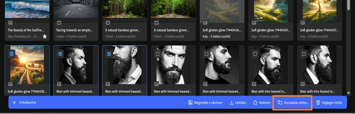 A Létrehozási előzmények lap a Firefly alkalmazásban több kiválasztott eszközt és egy eszköztár menüt jelenít meg.